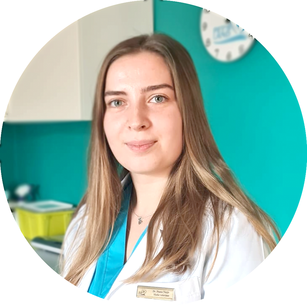 Diana Niagu Diana Niagu