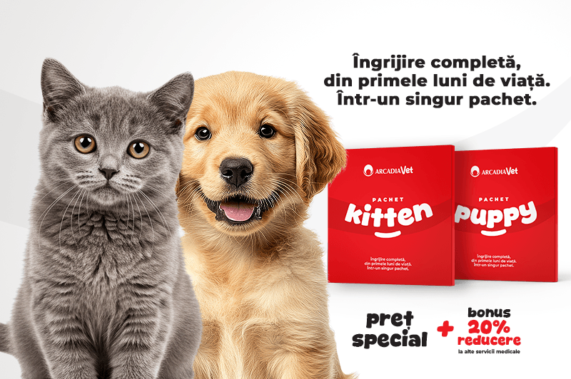 arcadia-vet_pachete_800x532px_articol-site